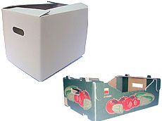 Prima 2000 яблыкі-грушы-слівы садавіны, гародніны 13